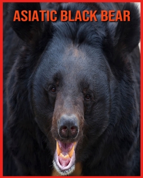 Asiatic Black Bear: Learn About Asiatic Black Bear and Enjoy Colorful Pictures