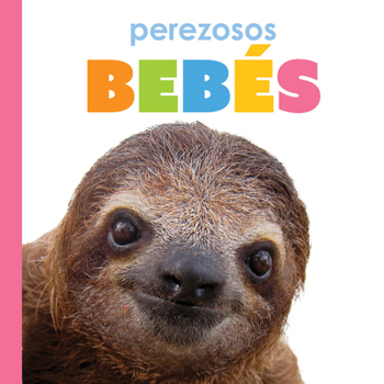Library Binding Perezosos Bebés: Spanish Edition [Spanish] Book