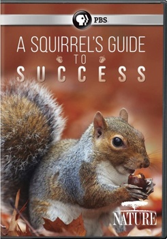 DVD Nature: A Squirrel's Guide to Success Book