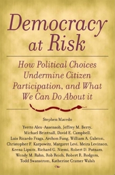 Paperback Democracy at Risk: How Political Choices Undermine Citizen Participation, and What We Can Do about It Book