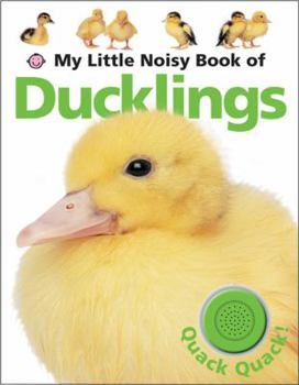 My Little Noisy Book of Ducklings (Magnetic Learning) - Book  of the My Little Books