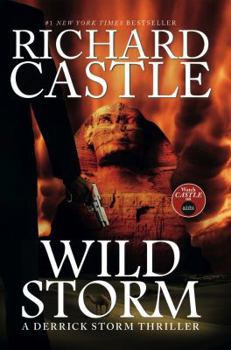 Wild Storm - Book #2 of the Derrick Storm