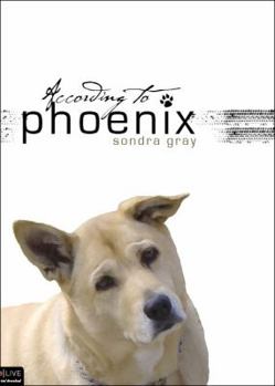 Paperback According to Phoenix Book