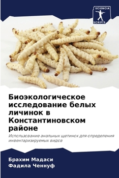 Биоэкологическое исследование белых личинок в Константиновском районе: Использование анальных щетинок для определения инвентаризируемых видов