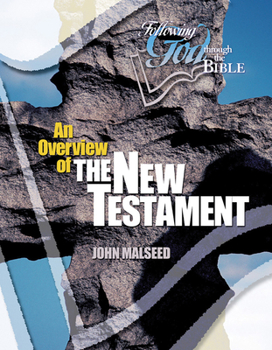Paperback An Overview of the New Testament Book