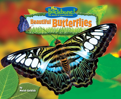 Paperback Beautiful Butterflies Book