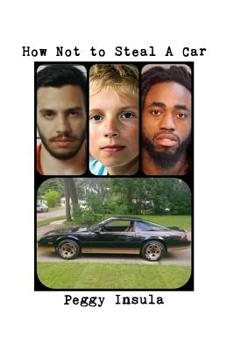 Paperback How Not to Steal a Car Book