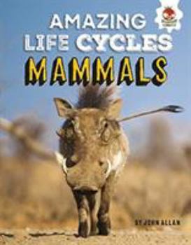 Paperback Amazing Life Cycles Mammals Book
