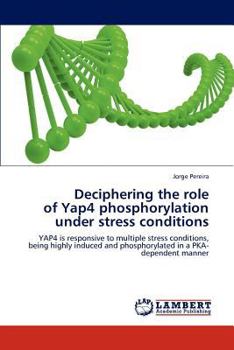 Paperback Deciphering the role of Yap4 phosphorylation under stress conditions Book