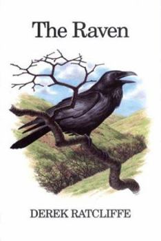 The Raven: A Natural History in Britain and Ireland (Poyser) - Book  of the Poyser Monographs