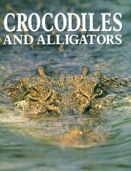 Hardcover Crocodiles and Alligators Book