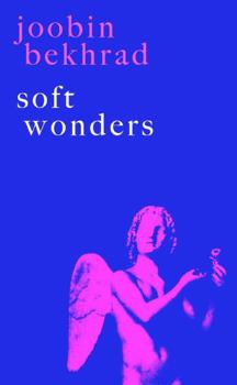 Paperback Soft Wonders Book