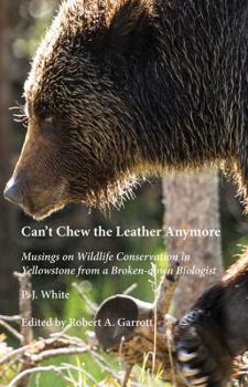 Paperback Can't Chew the Leather Anymore: Musings on Wildlife Conservation in Yellowstone from a Broken-down Biologist Book