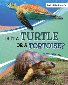 Hardcover Is It a Turtle or a Tortoise? Book