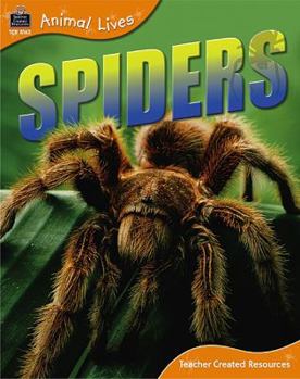 Paperback Animal Lives: Spiders Book