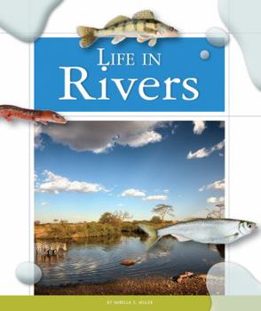 Library Binding Life in Rivers Book