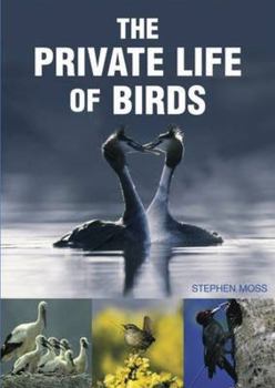 Hardcover The Private Life of Birds Book