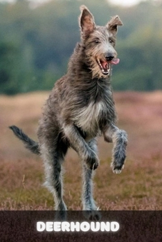 Paperback Deerhound: Complete breed guide Book