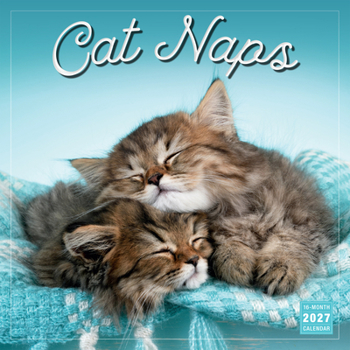 Calendar Cat Naps Book