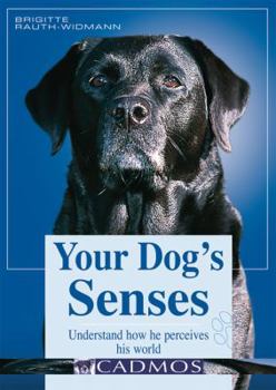 Hardcover Your Dog's Senses: Understand How He Perceives His World Book