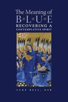 Paperback The Meaning of Blue: Recovering a Contemplative Spirit Book