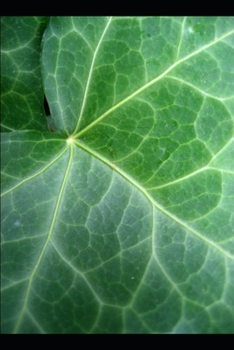 Paperback Love and Romantic Poetry Book