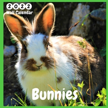Paperback Bunnies 2022 Wall Calendar: Official Bunnies Calendar 2021, 12 Months, Bunnies Lovers Calendar Book