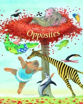 Hardcover Opposites Book