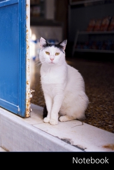 Notebook: Katze, Silhouette, Katzen Silhouette, Katzenaugen Notizbuch / persönliches Tagebuch / Schreibheft / Logbuch / Planer / Vokabelheft / Notizen ... Seiten mit Datumslinie, glänzendes Cover.