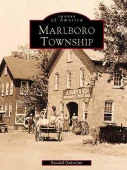 Paperback Marlboro Township Book