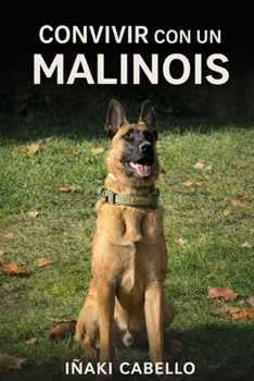 CONVIVIR CON UN PASTOR BELGA MALINOISE