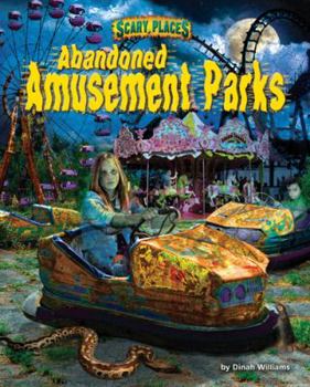 Library Binding Abandoned Amusement Parks Book