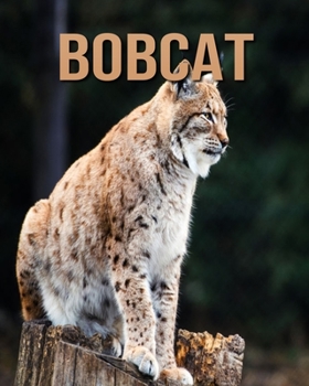Paperback Bobcat: Fascinating Bobcat Facts for Kids with Stunning Pictures! Book