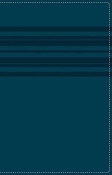 Imitation Leather Large Print Bible-NIRV [Large Print] Book