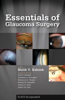 Paperback Essentials of Glaucoma Surgery Book