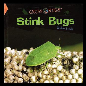 Paperback Stink Bugs Book