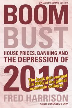 Paperback Boom Bust: House Prices, Banking and the Depression of 2010 Book