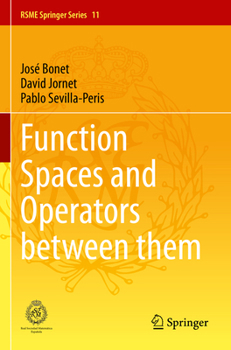 Paperback Function Spaces and Operators Between Them Book