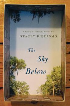 Hardcover The Sky Below Book