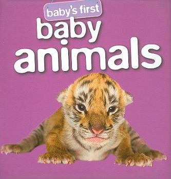 Board book Baby's First Baby Animals Book