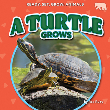 A Turtle Grows