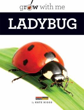 Paperback Ladybug Book