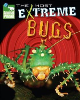 Hardcover Animal Planet the Most Extreme Bugs Book