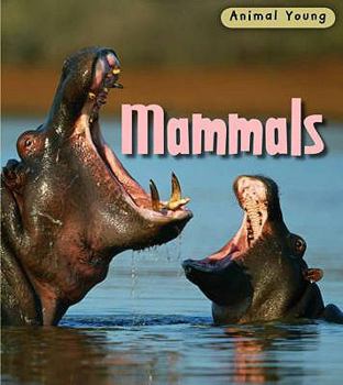 Paperback Mammals (Animal Young) Book
