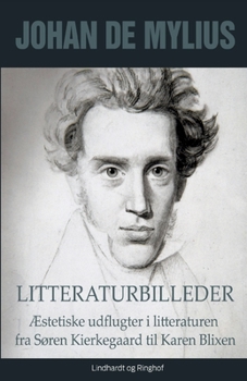 Paperback Litteraturbilleder: Æstetiske udflugter i litteraturen fra Søren Kierkegaard til Karen Blixen [Danish] Book