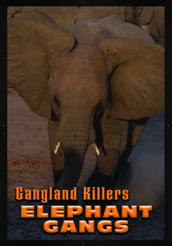 DVD Gangland Killers: Elephant Gangs Book