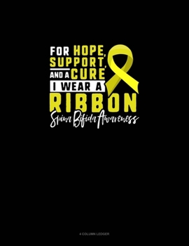 Paperback For Hope, Support And A Cure, I Wear A Ribbon Spina Bifida Awareness: 4 Column Ledger Book