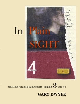 Paperback In Plain Sight Volume 3 Book