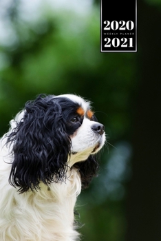 Cavalier King Charles Spaniel Dog Calendar Week Planner 2020 / 2021 - Sad Look: Pup Puppy Doggie Pet Owner Weekly Bullet Journal Notebook Diary in 6” x 9” Inch Pocket Size