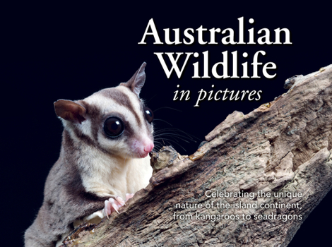 Paperback Australian Wildlife in Picture: Celebrating the Unique Nature of the Island Continent, from Kangaroos to Sea Dragons Book